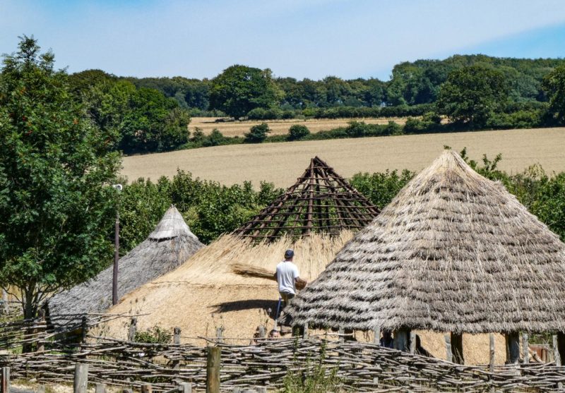 Thatching our Moel Y Gerddi Roundhouse