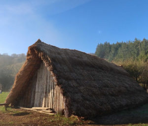 Our Neolithic Horton House on a crisp winters day with a crescent moon in the background