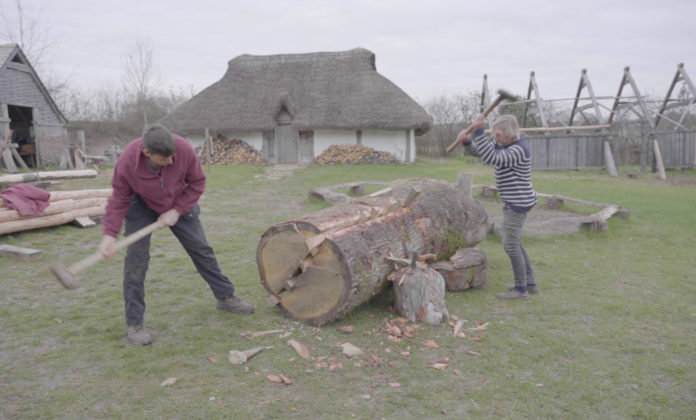 Darren and Julian splitting huge tree trunk
